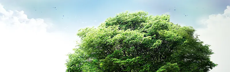 ʱ������Ƽ�����-������