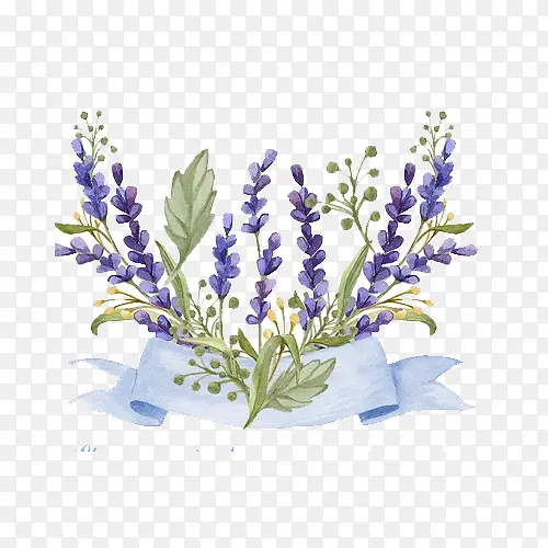 ޹�²�-������