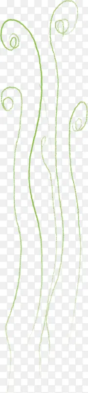 ��ɫ����֦��-������