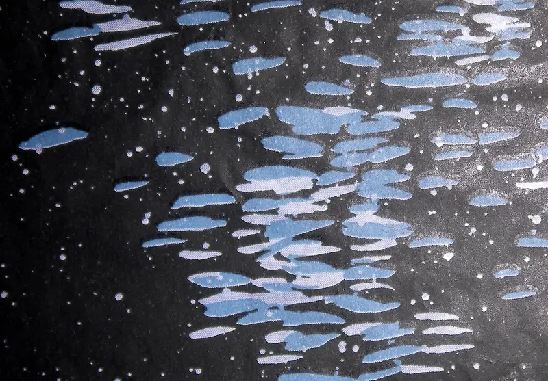 ������Ʊ���-������