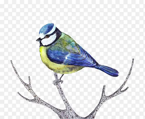 �ֻ�ˮ����-������