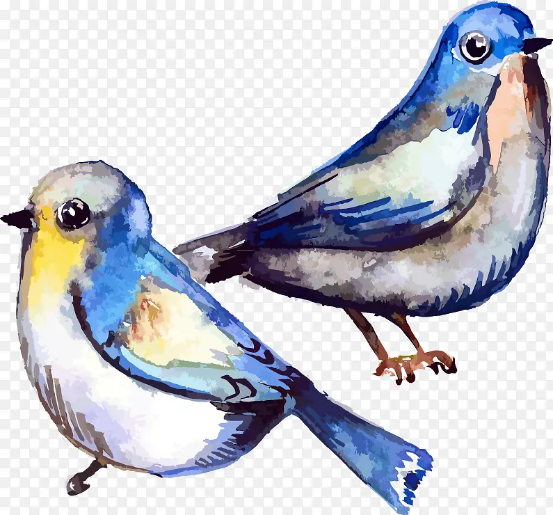 ˮ����-������