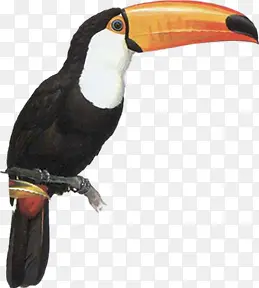 �ֻ�廭��������-������