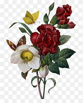 ���崴���ֻ滨��-������