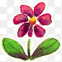 ��ֲ�ﰮ�����-������