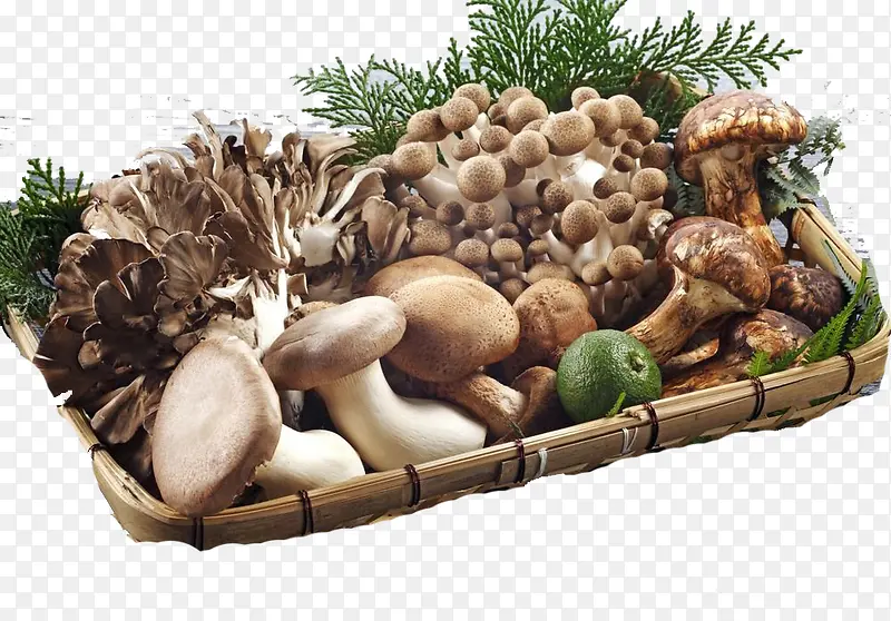 ʳ��-������