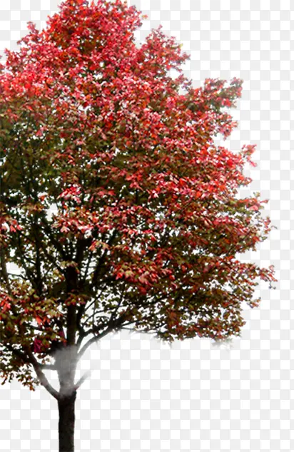 ��-������