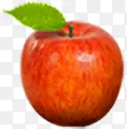 ���콼��ƻ��ˮ��-������