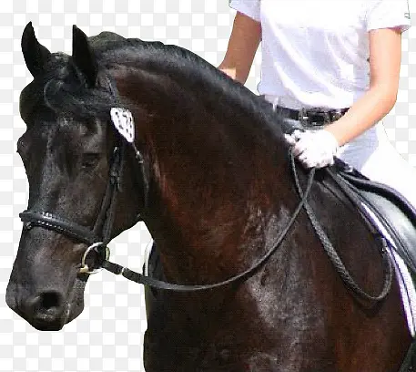 ��ͨ�ز��ֻ���-������