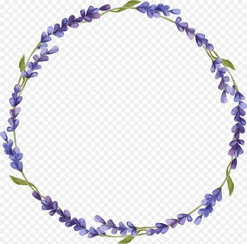 ޹�²�-������