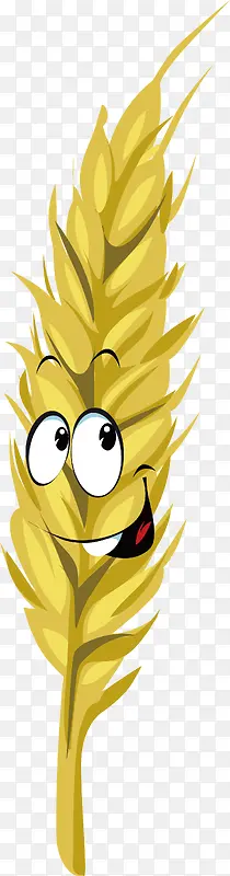 ����װ�����ʸ��-������