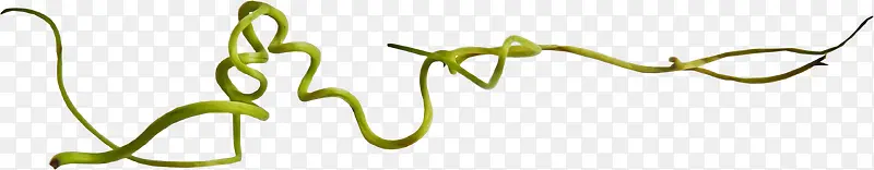 ������ɫ֦��-������