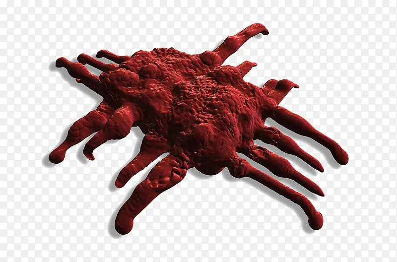 ��ϸ���ز�-������