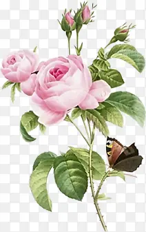 ��Ӱ�ֻ���������-������