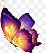 ������Ӱ���������-������