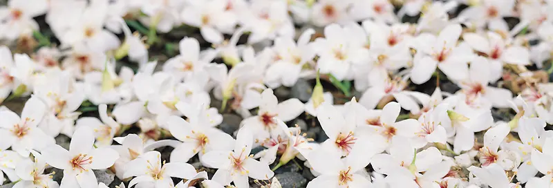 Ψ��������Ӱ�羰ͼ-������