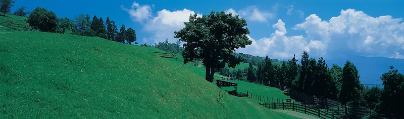 Ψ��������Ӱ�羰ͼ-������