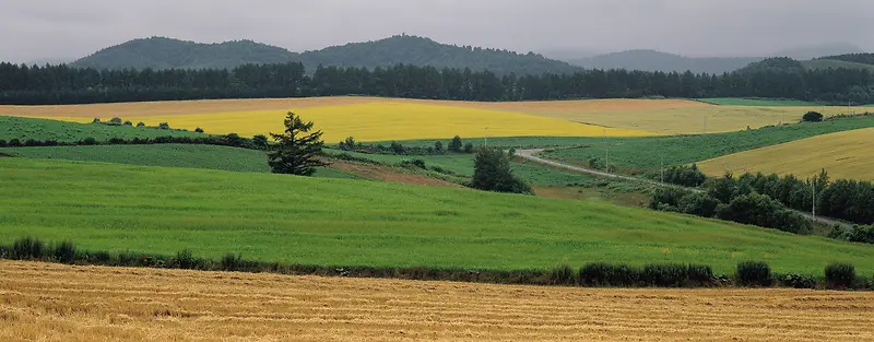 Ψ��������Ӱ�羰ͼ-������
