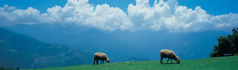 Ψ��������Ӱ�羰ͼ-������