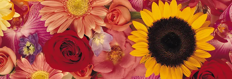 Ψ��������Ӱ�羰ͼ-������