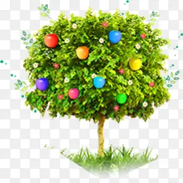 ��ɫƻ����������-������