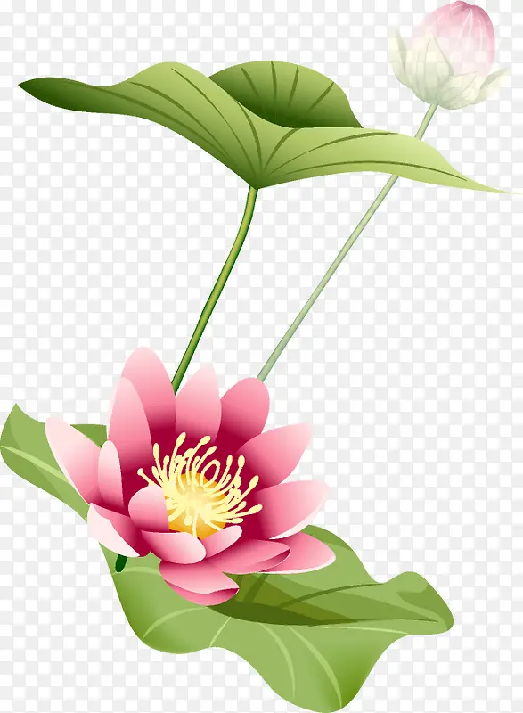 �����ɻ��廭����-������