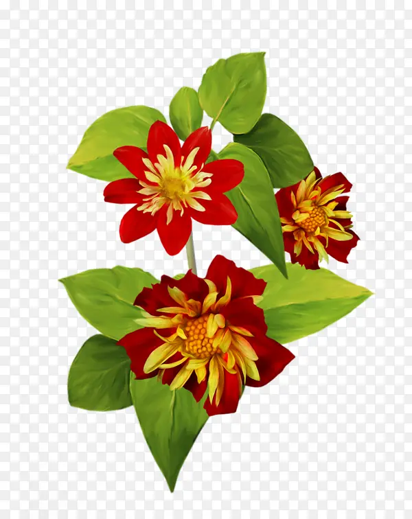 ��ͨС��-������