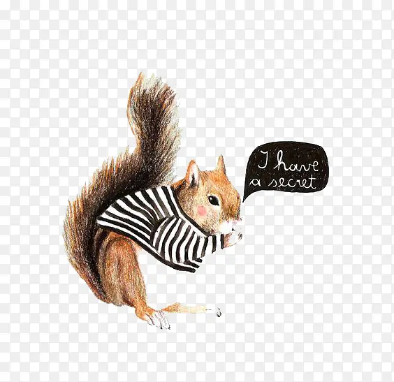 �ɰ�����װ���ز�-������