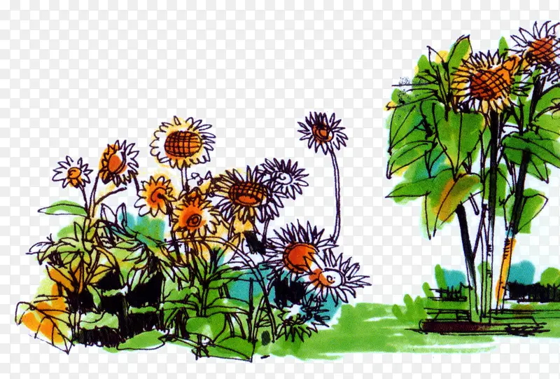 �滭ˮ�����տ�����-������