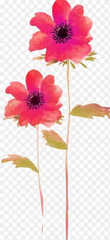 �ֻ�ˮ�ʺ�ɫС��-������