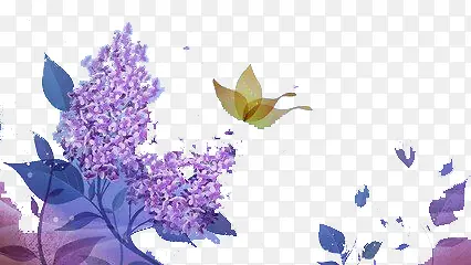 ��ɫ޹�²�-������