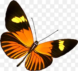 ��ɫ�ڰߺ�������-������