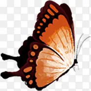 ��ɫ�ڱߺ�����Ϧ-������