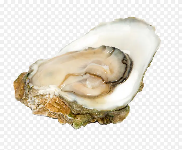 ���ʵ��ͼ-������