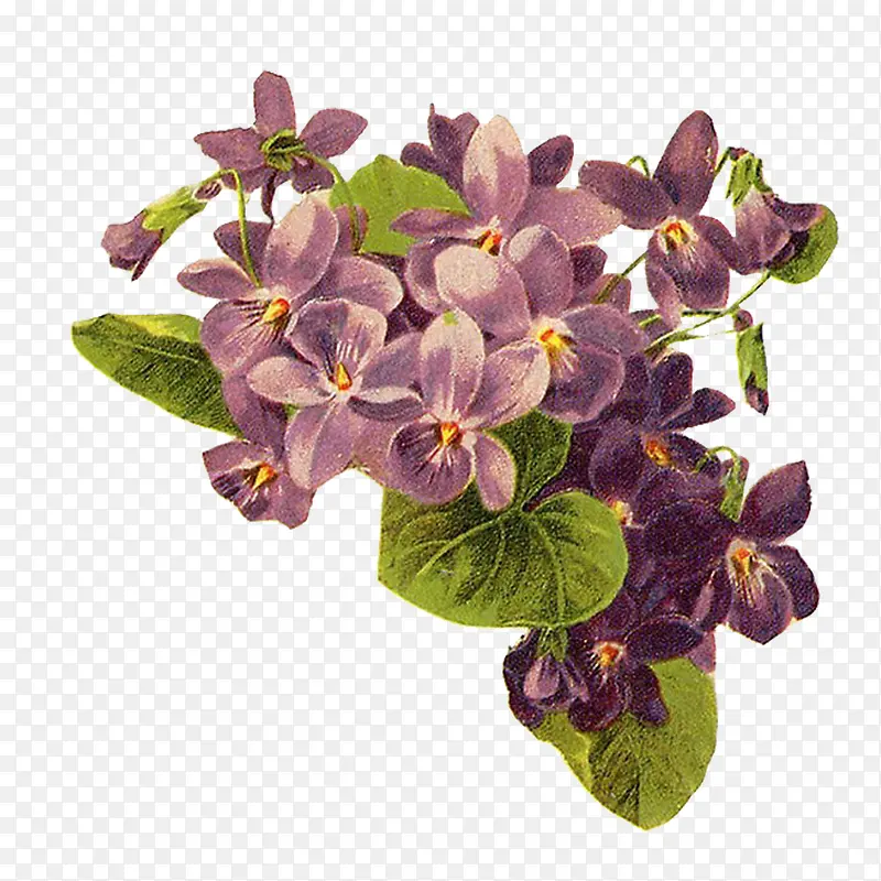 �廭-������