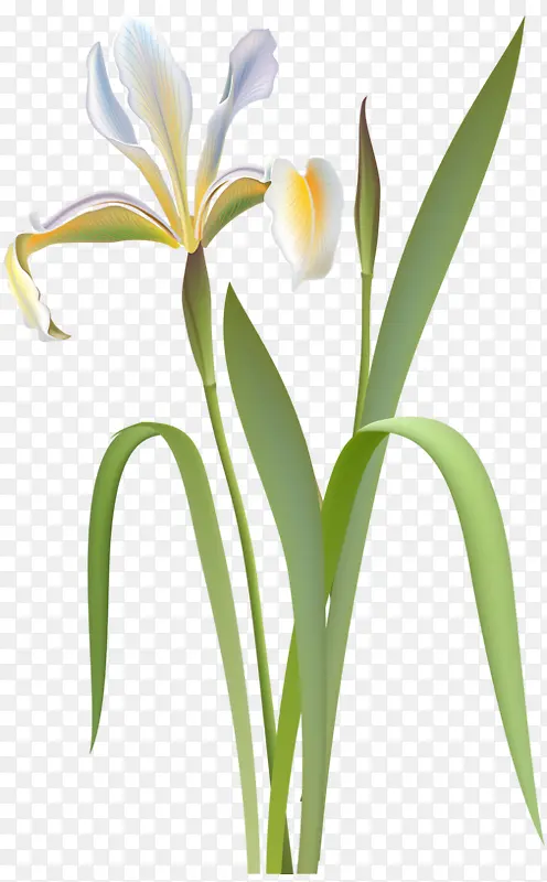 ��ɫ�ž黨-������