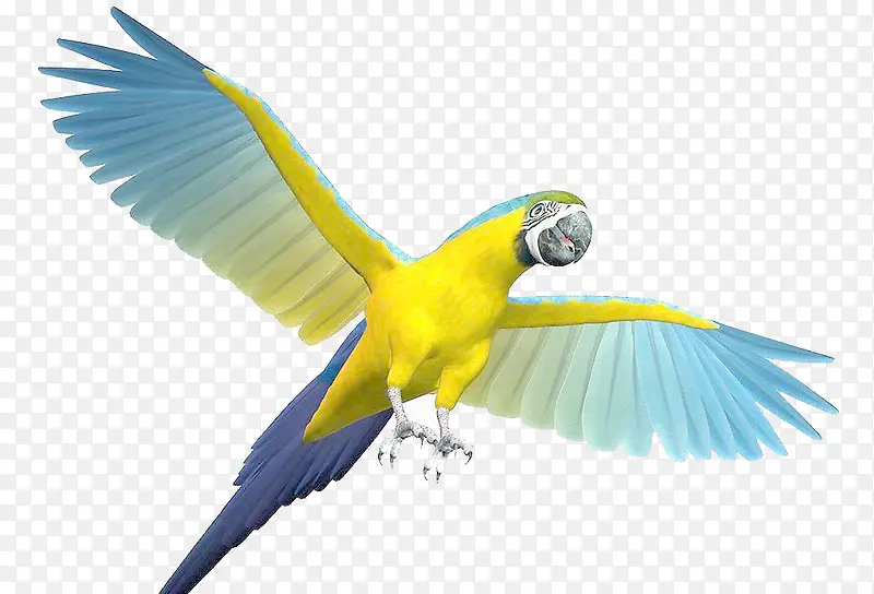 �����ز�-������