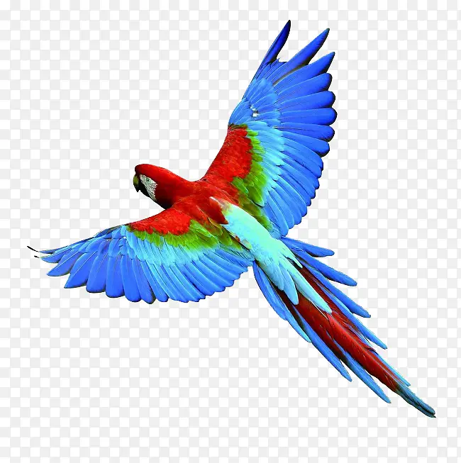 �����ز�-������