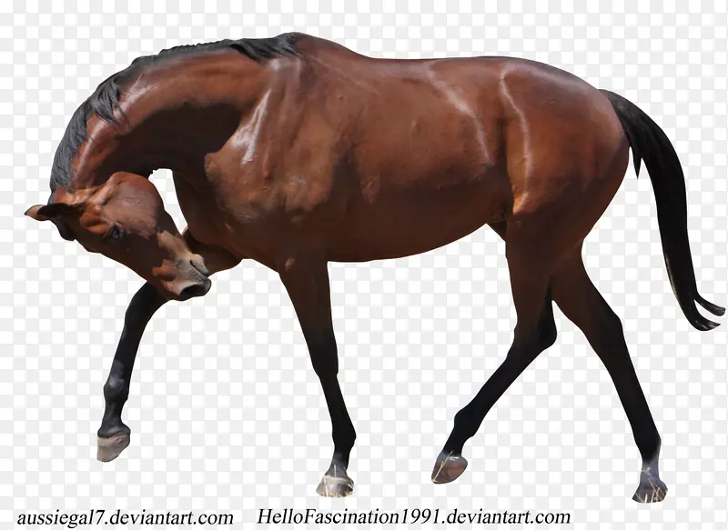 ������Ӱ��ʳ�Ŀ���-������