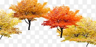 ��-������