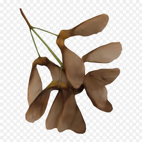 ��ɫ��������-������