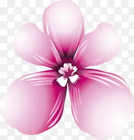 ��Ӱ���ջ�ױƷ�����ֻ滨��-������