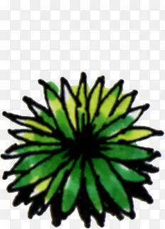 ��ɫ����������ֲ-������