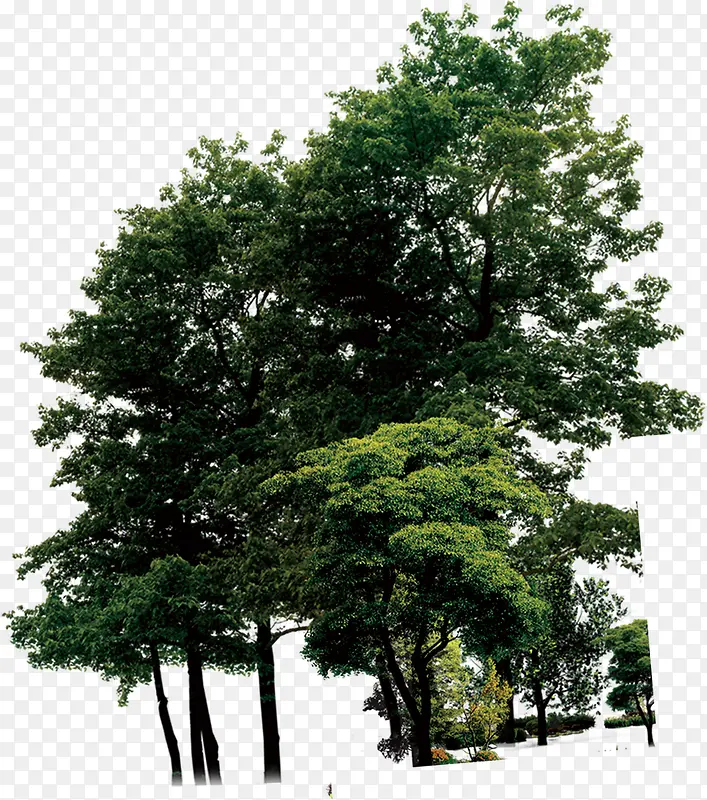 ������ɫ������Ӱ-������