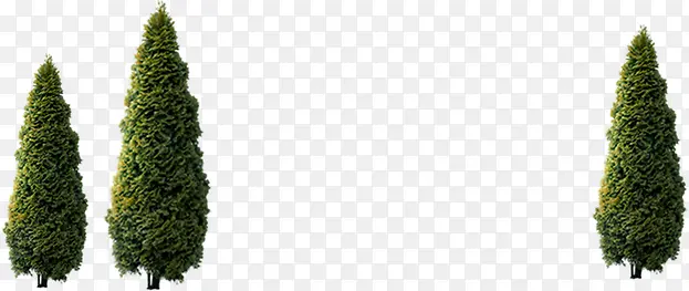 ��ɫ���崴����Ӱ�ϳ�Ч��-������