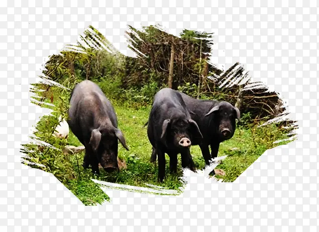 ����-������