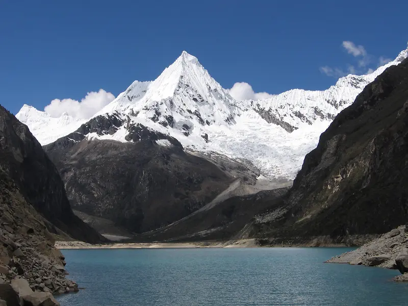 ������ӰΨ����ֽ�ϳ�Ч��-������