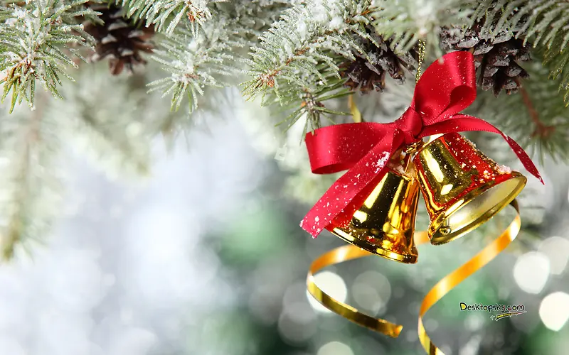 ����ʥ����������ֽ-������