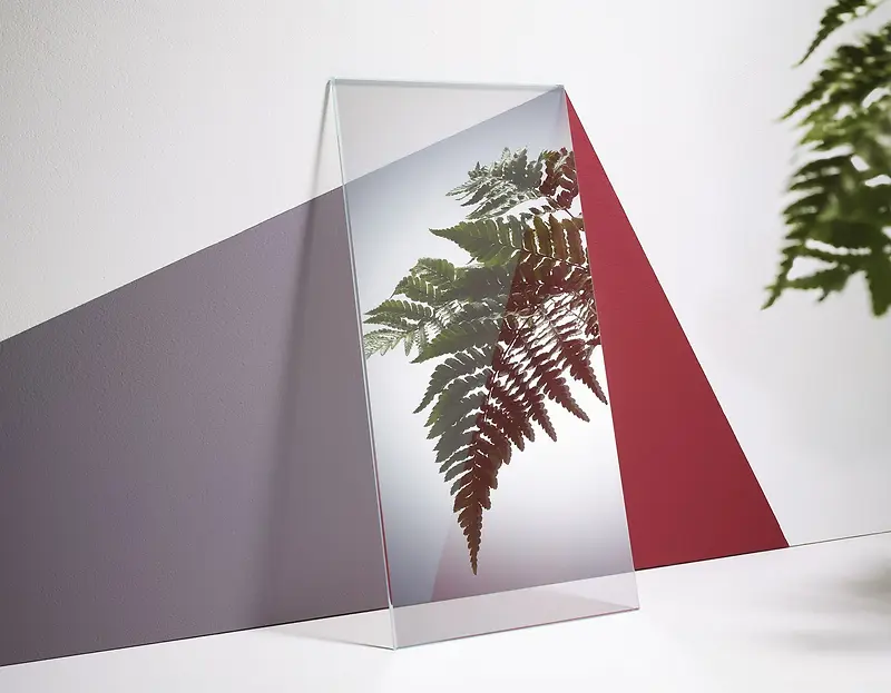 ͸����֦�����ֽ-������