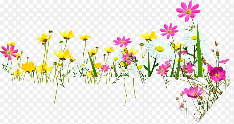 ��ɫС��Ұ��װ��-������